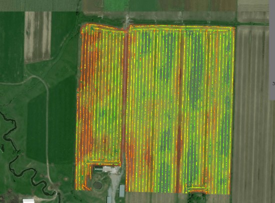 КАРТОГРАФІЯ