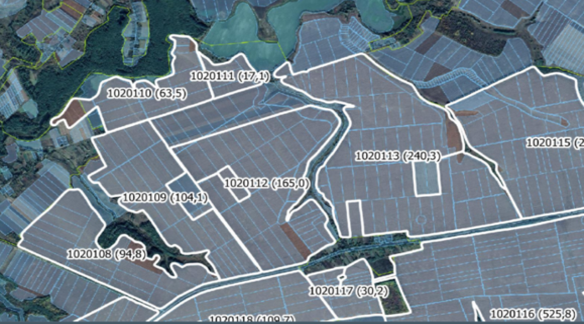 КАРТОГРАФІЯ