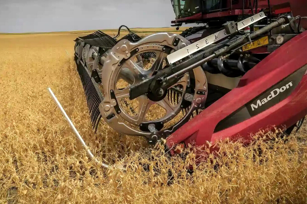 Жниварка зернова MacDon FD2