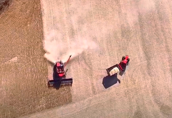 Harvesting 2.0. Reduce losses and increase efficiency due to modern precision farming technologies