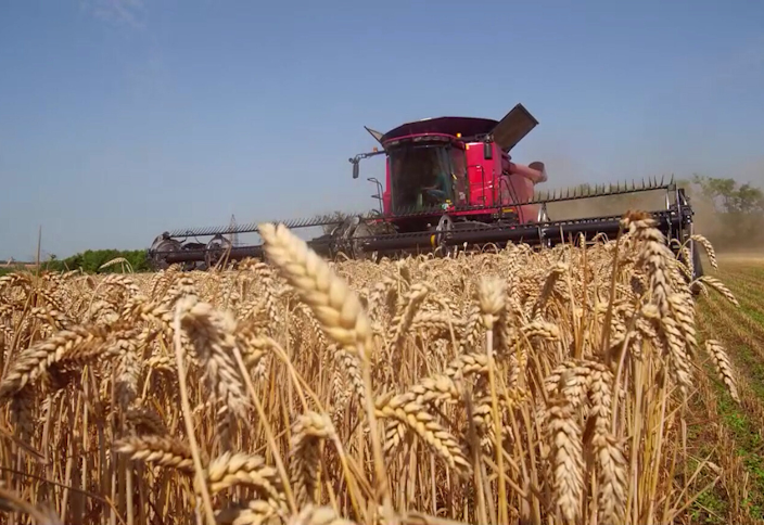 Fast harvest with minimal losses: DEMO-tour of the Case IH Axial Flow 250 series combine with the MacDon FD235 harvester