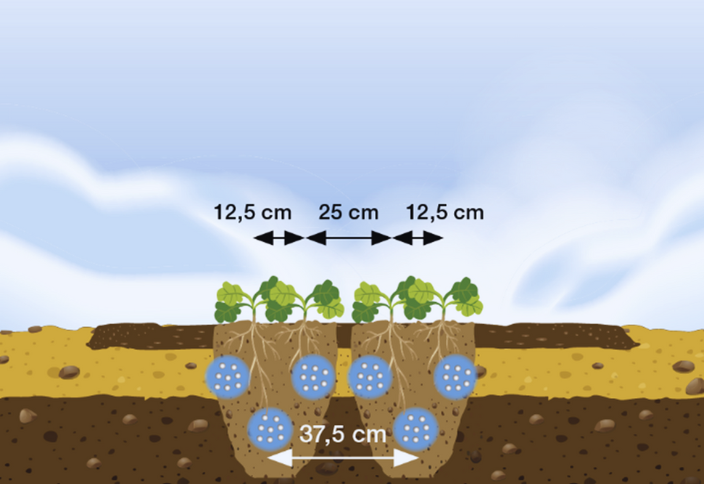 Сівалка для смугового посіву відповідає сучасним агрономічним тенденціям